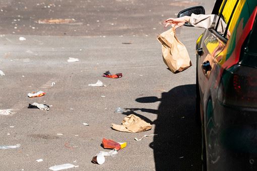 Автомобилистов могут начать штрафовать за незаконный сброс мусора