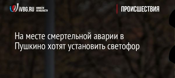 На месте смертельной аварии в Пушкино хотят установить светофор