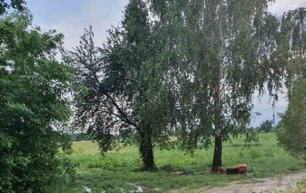 В Черкасской области молния убила двух человек
