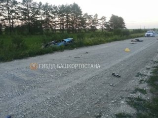 В Башкирии в результате опрокидывания автомобиля погибли два человека