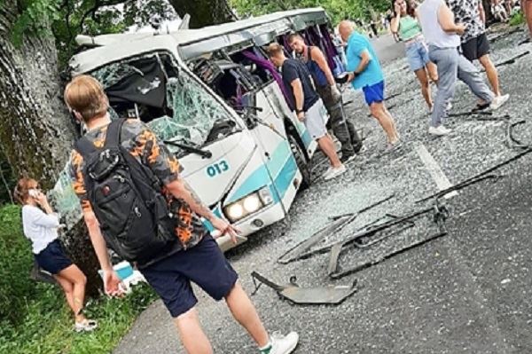 В российском регионе автобус врезался в дерево