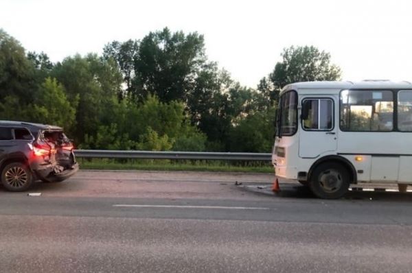 Из-за уток пять человек получили травмы в ДТП под Новосибирском