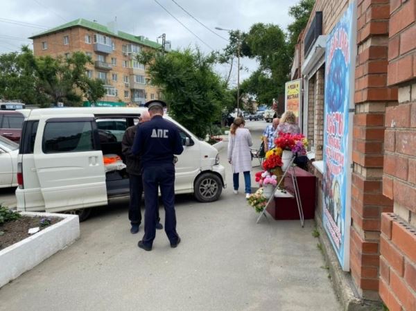 Во Владивостоке пенсионер сбил насмерть пожилую женщину-пешехода